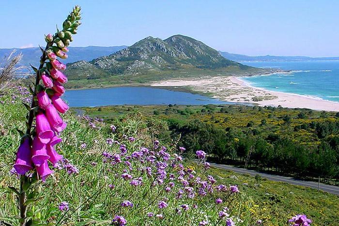 Hostal Solymar San Francisco  Dış mekan fotoğraf