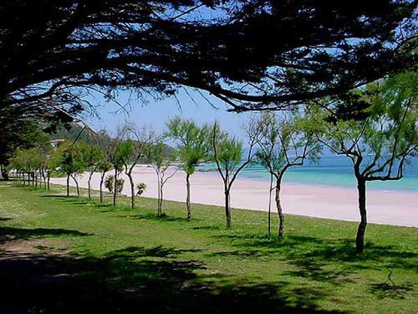 Hostal Solymar San Francisco  Dış mekan fotoğraf
