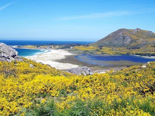 Hostal Solymar San Francisco  Dış mekan fotoğraf